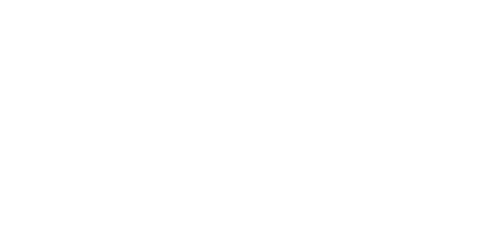 Plus40 Lens